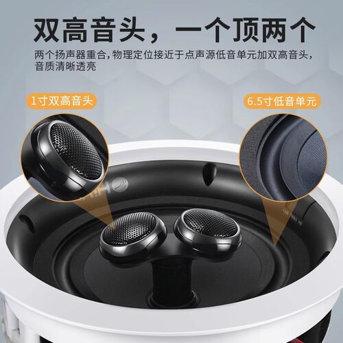 Hivi/惠威 VX6-SC 高低音同轴定阻吸顶喇叭双高音天花板吊顶音响 - 图2