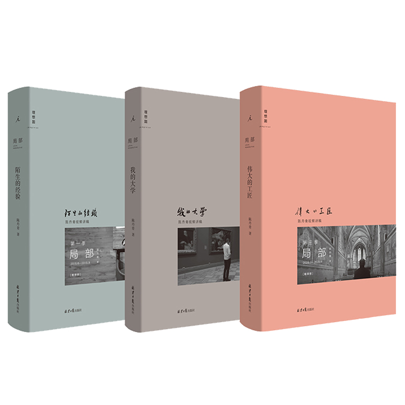 正版 陈丹青局部套装1-2-3 陌生的经验(新版)+我的大学+伟大的工匠 美学中西艺术理论的书籍 西方艺术史纽约琐记退步集 理想国 - 图2