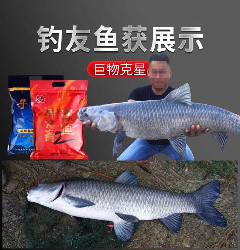 寻龙青赛道二代战青颗粒青鱼饵料草鱼打窝料皮筋大物大青专用窝料 - 图1