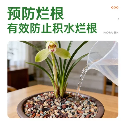 彩虹石铺面石盆栽鱼缸底砂虹彩石颗粒基质植物多肉介质土造景花卉 - 图0