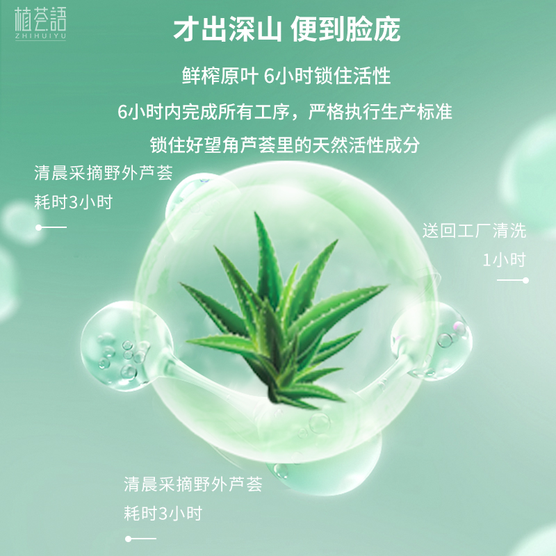 南非欧卡尔Alcare aloe芦荟胶Aloe Gel99%补水消痘祛印晒后修复 - 图2