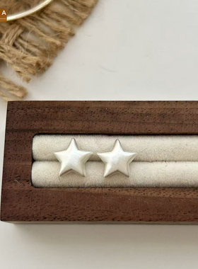 STINA银针极简拉丝星星耳钉精致
