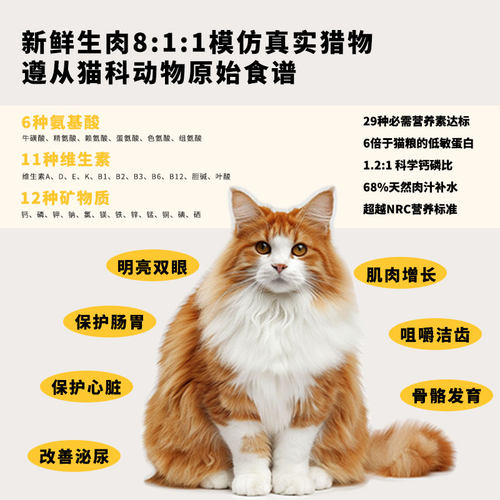 猫咪生骨肉餐包全阶段生肉缅因猫饭增肥营养低敏鸡鸭兔冰鲜肉食材 - 图2