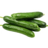 Торн без фруктовых семян огурца Мини -фрукты семена семян огурца, семена кремового дыни, четыре сезона без овощной доставки кайон