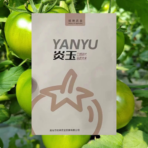 坂田炎玉大果口感番茄种子草莓西红柿种籽沙瓤好吃高产四季蔬菜籽 - 图1
