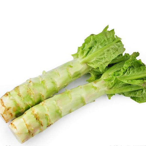 香笋三号莴笋种子莴苣种籽长圆叶青皮青肉四季蔬菜早熟高产包邮 - 图3