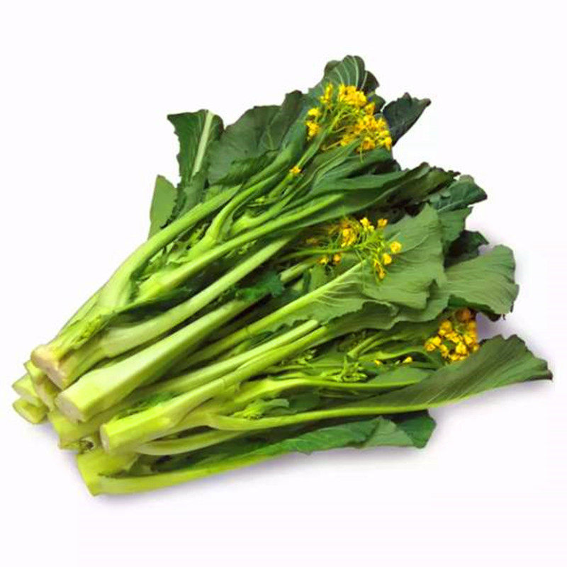 甜菜心种子广东四九菜苔薹种籽矮脚青菜尖叶油绿油青四季蔬菜早熟,淘宝优惠券,粉丝福利购,淘宝优惠卷