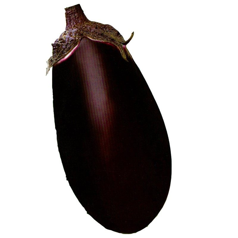 特大牛心茄种子罐茄种籽紫把紫黑色茄子高产四季蔬菜庭院阳台包邮,淘宝优惠券,粉丝福利购,淘宝优惠卷