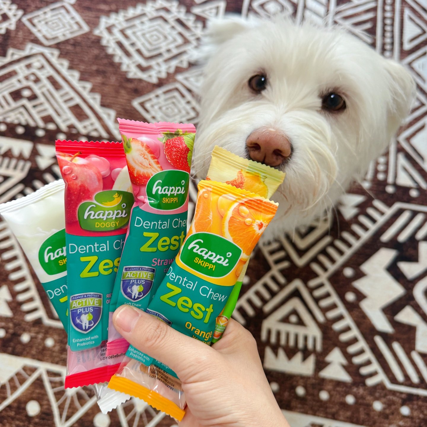 新加坡HappiSkippi宠物狗狗洁齿骨磨牙棒大中小型犬混合通用零食,淘宝优惠券,粉丝福利购,淘宝优惠卷