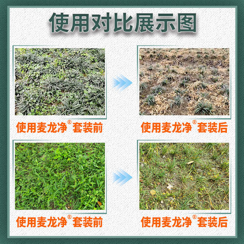 麦龙净麦冬草坪葱麦净防除水花生香附子禾阔莎杂草麦冬除草剂 - 图2