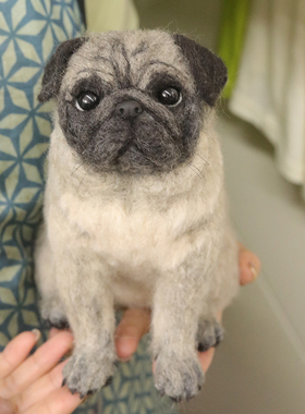 【11年老店】御姐羊毛毡宠物定制