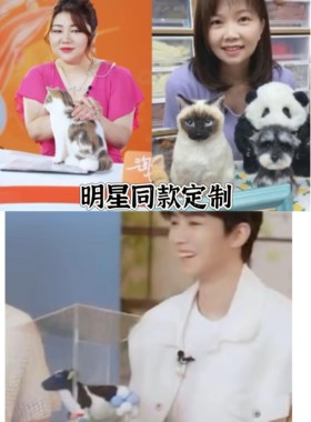 御姐羊毛毡宠物定制摆件模型猫咪狗狗离世纪念礼品博美仿真玩偶