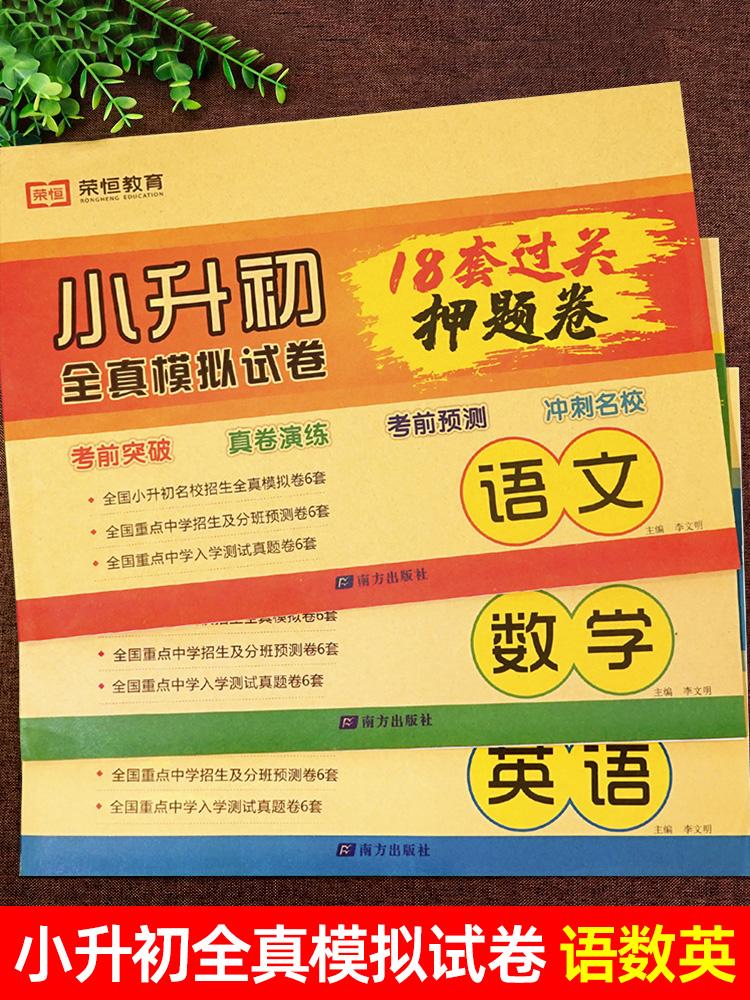 2024小升初真题卷必刷题人教版六年级下册测试卷语文数学英语18套押题卷名校全真模拟真卷初一招生分班卷小学升初中语数英总复习下 - 图1