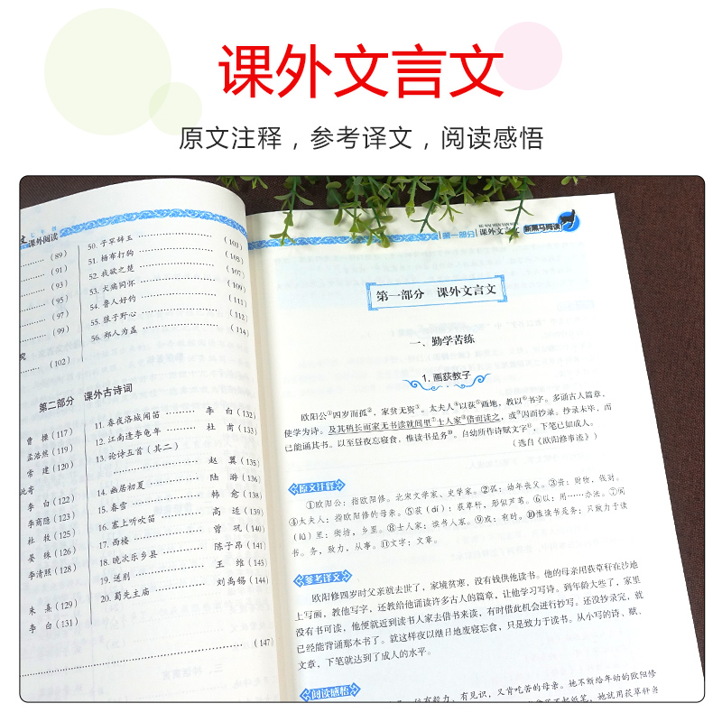 新版新黑马阅读古诗文课外阅读七八九年级第一次修订版全国通用初一二三789年级中考古诗词原文注释思维练习巩固基础 发散思维 - 图1