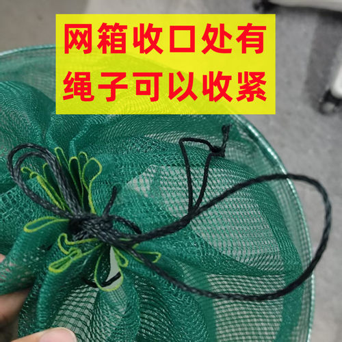 渔网箱折叠圆形网箱 龙虾螃蟹暂养吊笼网箱鱼护加厚 多款养鱼虾笼 - 图2