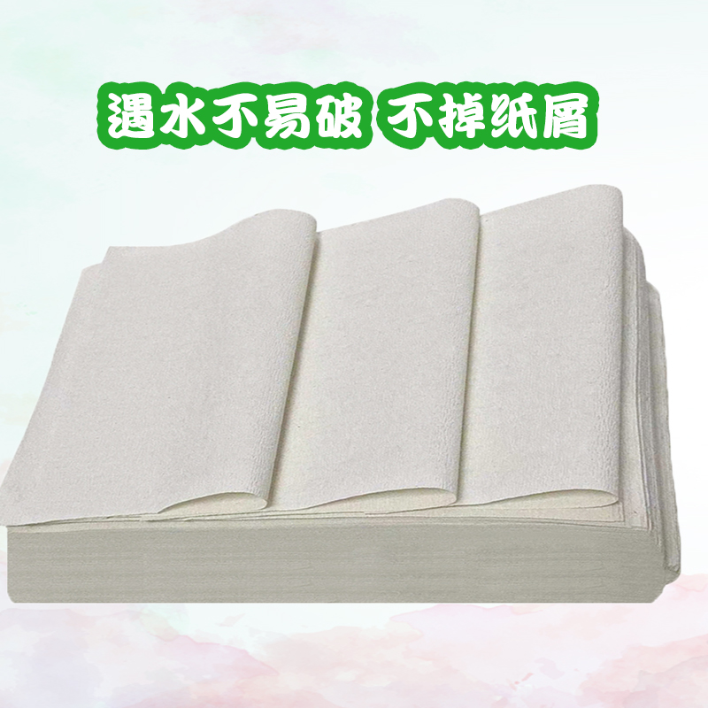 双灯蓝欣平板卫生纸10包厕纸整箱厕所纸巾家用草纸实惠装官方旗舰-图1