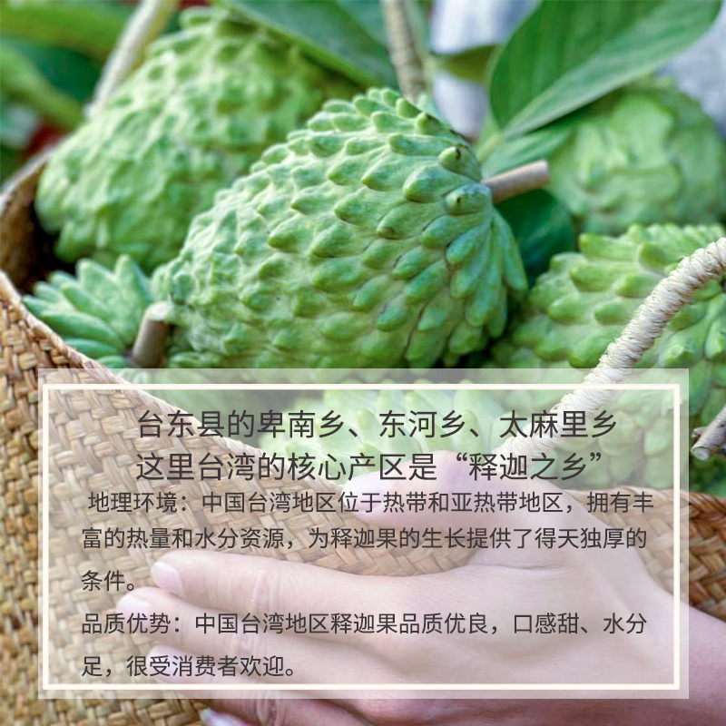 台湾进口释迦果番荔枝软檽香甜新鲜现摘特级大果释迦摩尼果发顺丰-图3