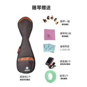 北京星海琵琶乐器儿童成人专业考级演奏练习初学琵琶红木琵琶琴