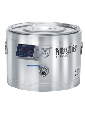 折源王台式电煮面炉定时定温