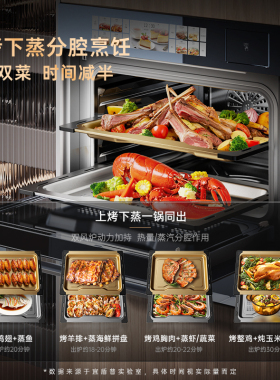 【钛内胆】宜盾普Q6嵌入式微蒸烤一体机家用蒸烤箱商用微波炉60L