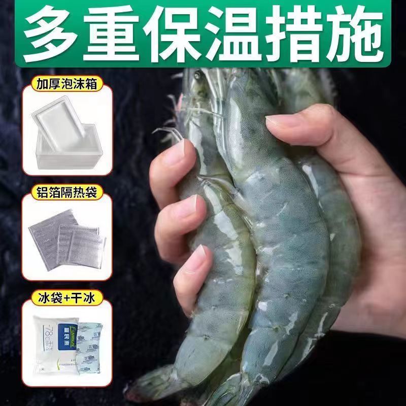 厄尔多瓜大虾王牌大虾冷冻海虾虾冰鲜鲜活海洋大虾南美白对虾-图2