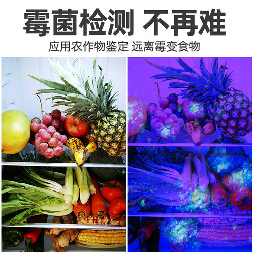 黄曲霉菌检测笔霉素真菌荧光剂检测笔紫外线灯紫光鉴定手电筒365 - 图0