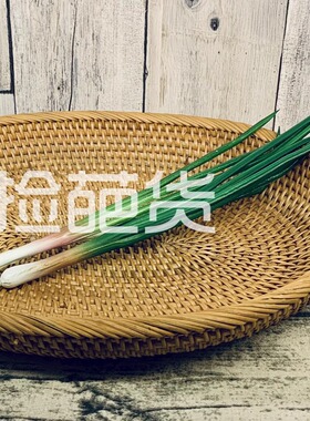 高仿真大葱蒜苗竹笋装饰摆件逼真蔬菜模型家居餐厅橱窗摄影道具