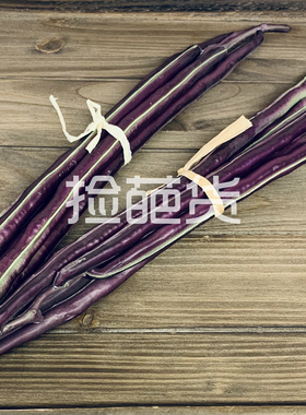 仿真蔬菜模型道具扁豆角刀豆芦笋