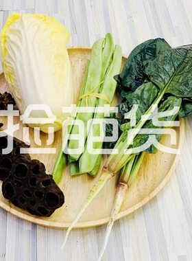 高仿真南瓜花菜土豆葱装饰摆件逼真蔬菜模型家居餐厅橱窗摄影道具