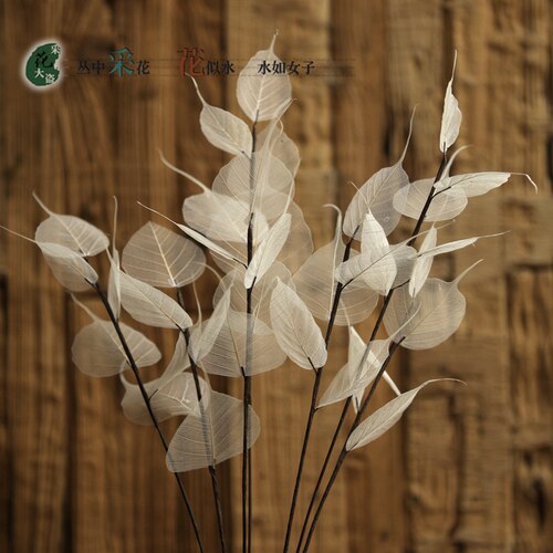 菩提叶脉干花花束假花仿真花树枝装饰客厅干枝落地天然树枝树叶 - 图0