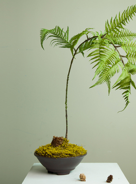 高仿真绿蕨盆景整体花艺