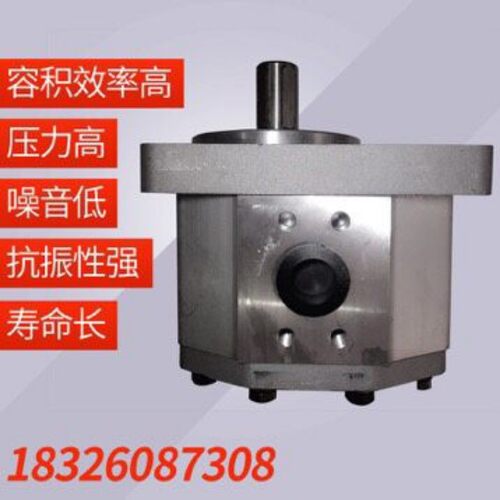 CBQ-F532/540/550/563-CFP/AFP/CFHL/AFHL原装正品合肥液压齿轮泵 - 图1