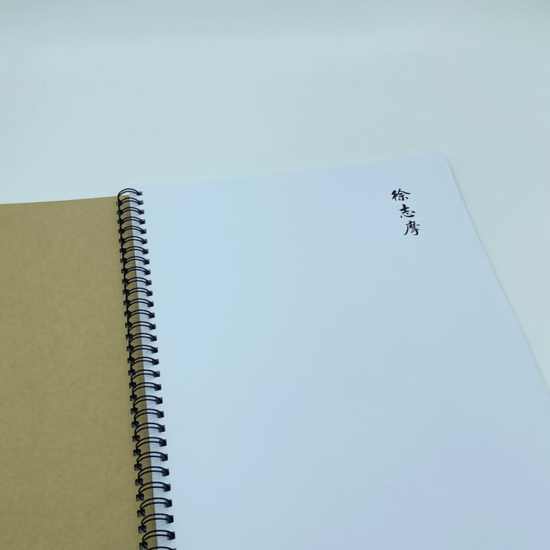 （定制字帖）徐志摩诗选 横线格临写 硬笔钢笔字帖楷书行书行楷