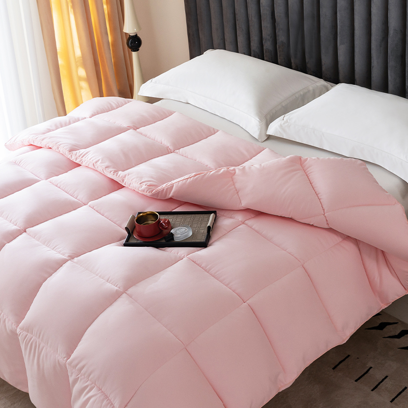 恒源祥被子冬被春秋被加厚保暖丝棉被双人太空被学生宿舍被芯被褥 - 图2