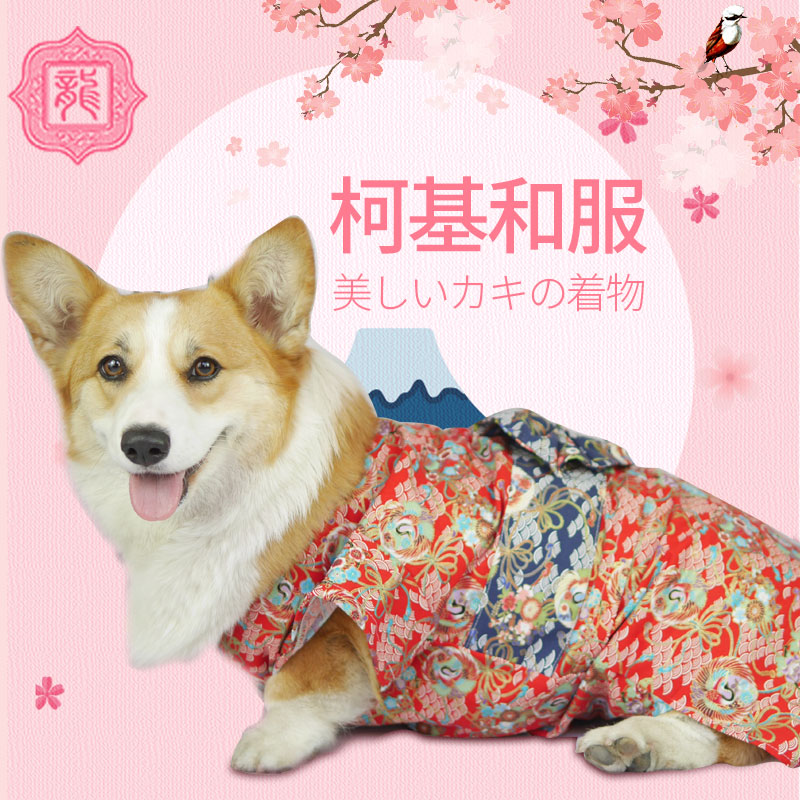 宠物和服 新人首单立减十元 21年7月 淘宝海外