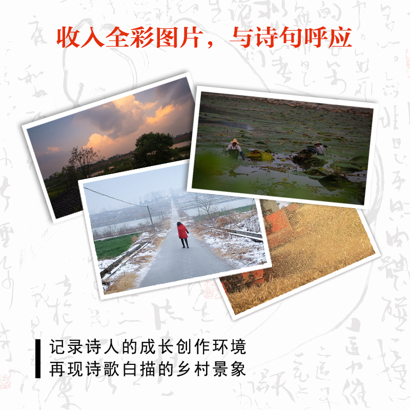 官方正版 月光落在左手上余秀华诗集精装珍藏版新作中国艾米丽狄金森 陈冲 罗新 詹青云 程璧推荐 摇摇晃晃的人间无端欢喜且在人间 - 图1
