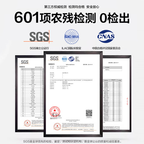 新鲜铁棍山药5斤装河南焦作温县特产正宗淮山铁杆山荮怀山药直销 - 图3