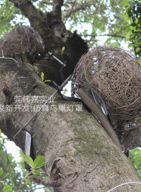 户外鸟巢装饰蛤蚂藤编织伟嘉