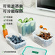 LOCK&LOCK plastic storage box HPL1004S3GRN available for group purchase