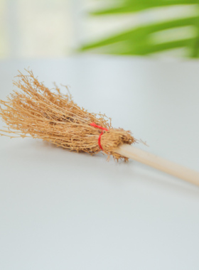 天然手工多肉微缩食玩摆件