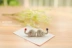 Zakka mini gốm trang trí nhà voi nhỏ đũa đũa đũa giữ bút giữ đũa - Trang trí nội thất