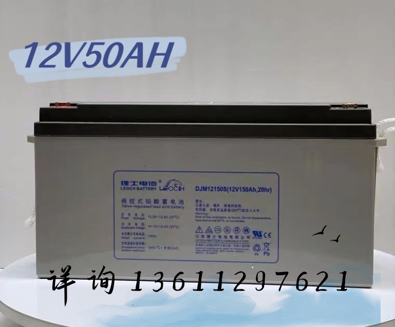 LEOCH理士蓄电池1238AH DJM12-38 100AH65AH 直流屏/航空/铁路UPS - 图0