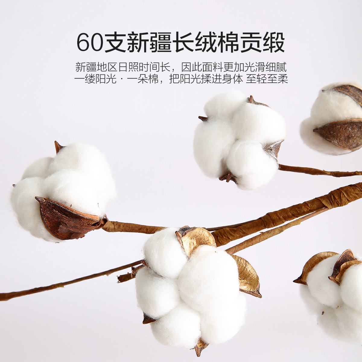 水星家纺枕头枕芯蚕丝枕全棉A类羽丝绒成人学生护颈椎助睡眠抗菌,淘宝优惠券,粉丝福利购,淘宝优惠卷