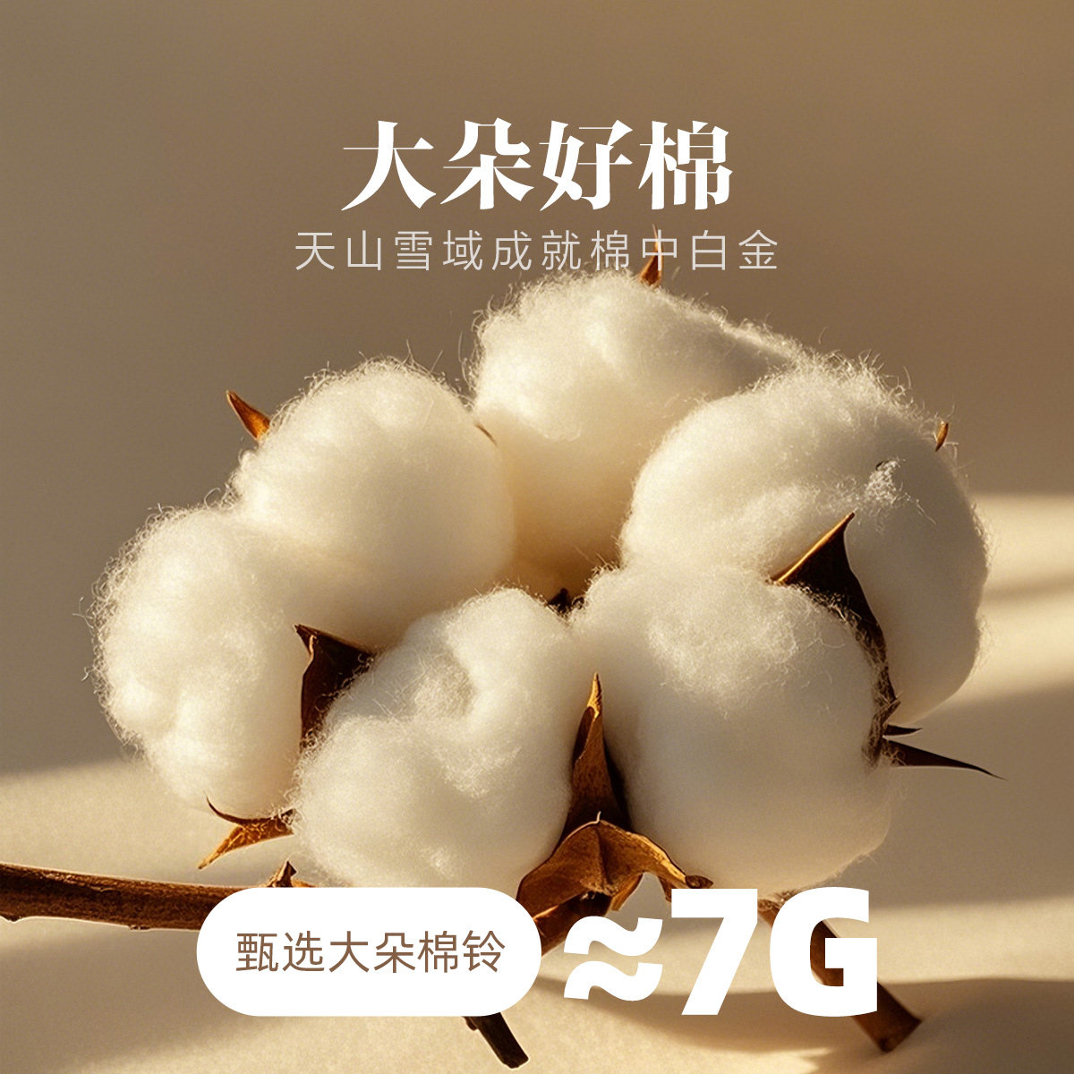 水星家纺新疆60支棉花褥子床垫软垫家用榻榻米垫子床褥垫被打地铺,淘宝优惠券,粉丝福利购,淘宝优惠卷