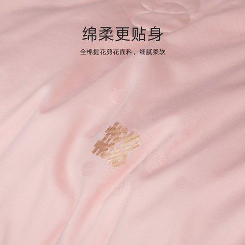 水星家纺蚕丝被100%桑蚕丝春秋被芯全棉冬被二合一子母被子床品 - 图3