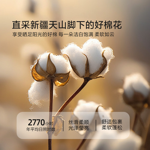 水星家纺棉花被春秋被四季被新疆棉花被子纯棉全棉被子被芯 - 图0
