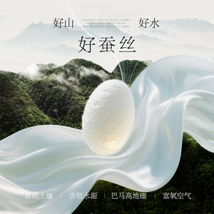 刘晓庆同款水星家纺100支全棉巴马双宫茧桑蚕丝被春秋被芯子母被