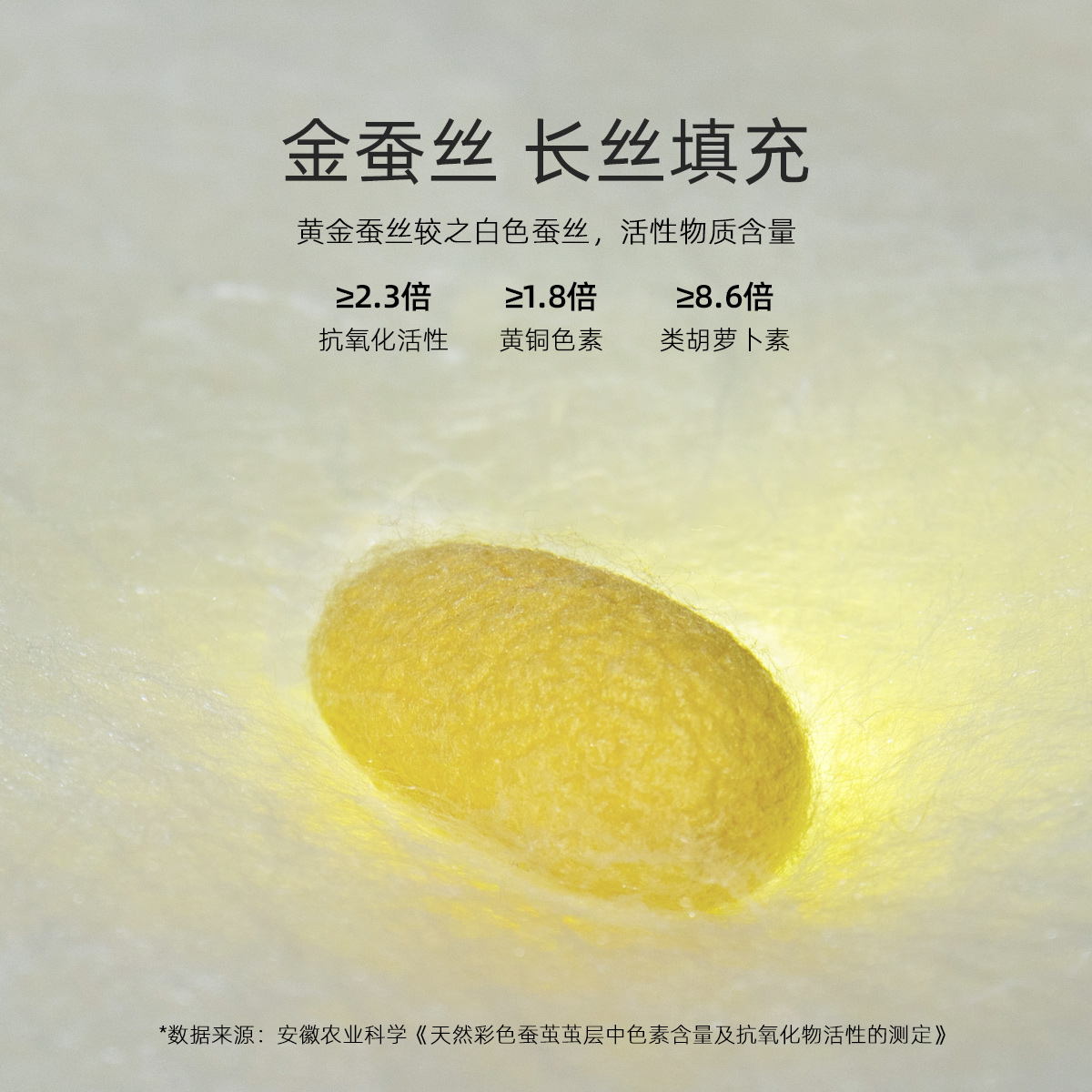 水星家纺100%桑蚕丝被单双人保暖被芯全棉提花冬被抗菌二合一被 - 图1