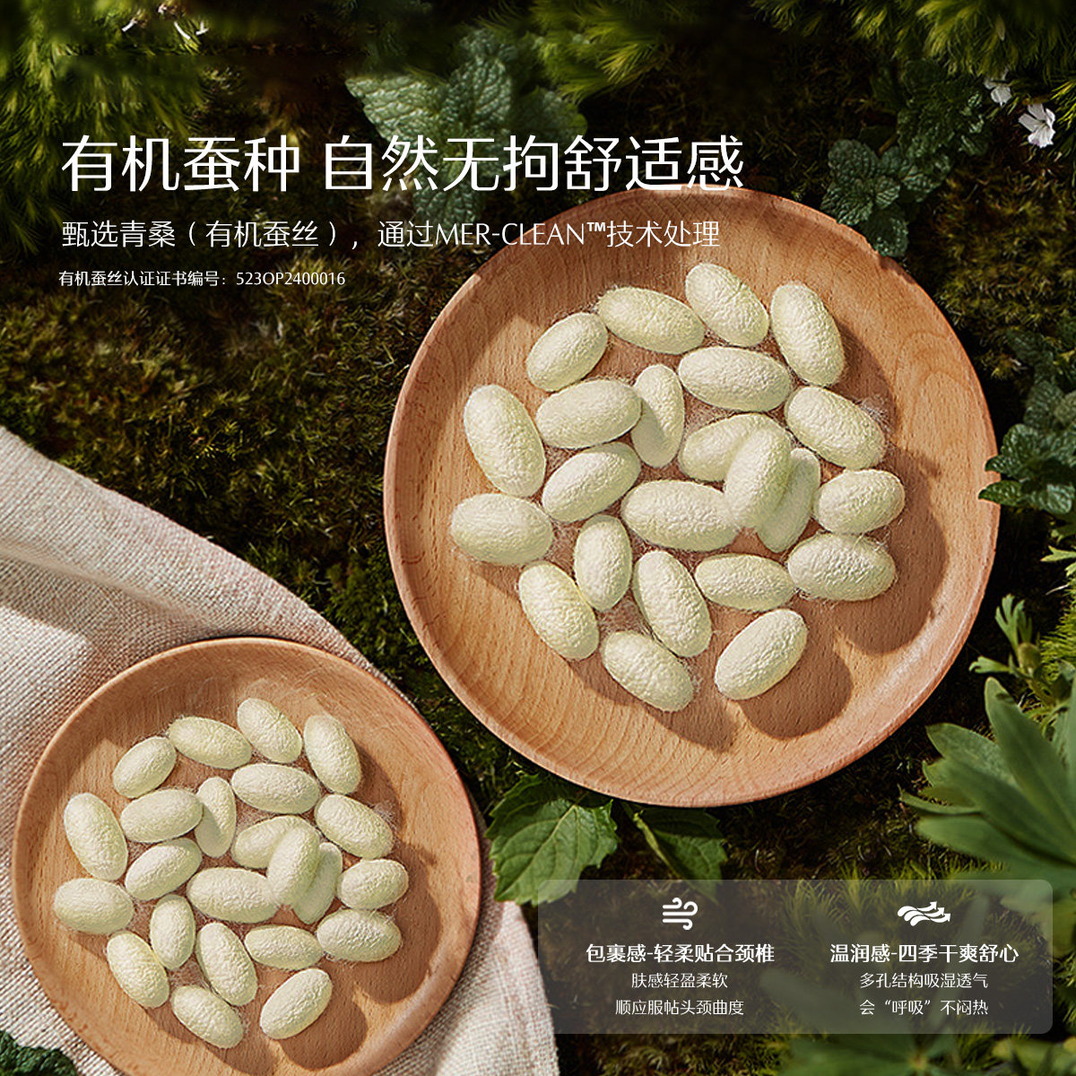 水星家纺对枕芯A类抑菌呵护颈椎高端蚕丝枕头一对装青桑有机蚕丝,淘宝优惠券,粉丝福利购,淘宝优惠卷