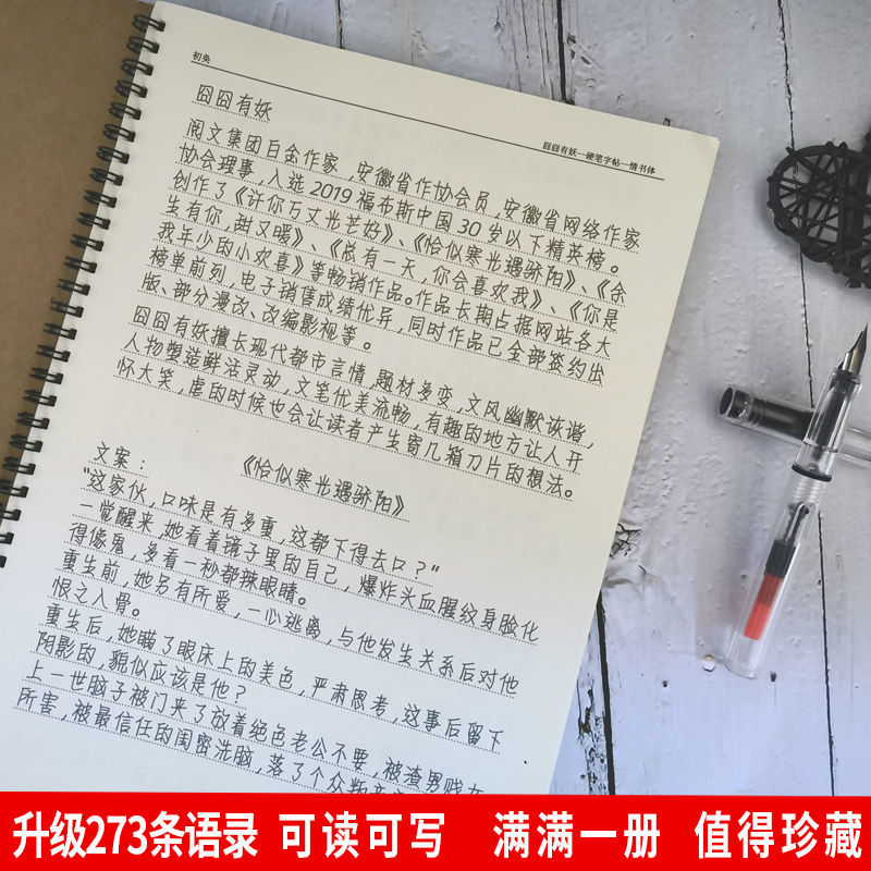 恰似寒光遇骄阳囧囧有甜宠小说言情司夜寒周边学生楷书钢笔练字帖 - 图0